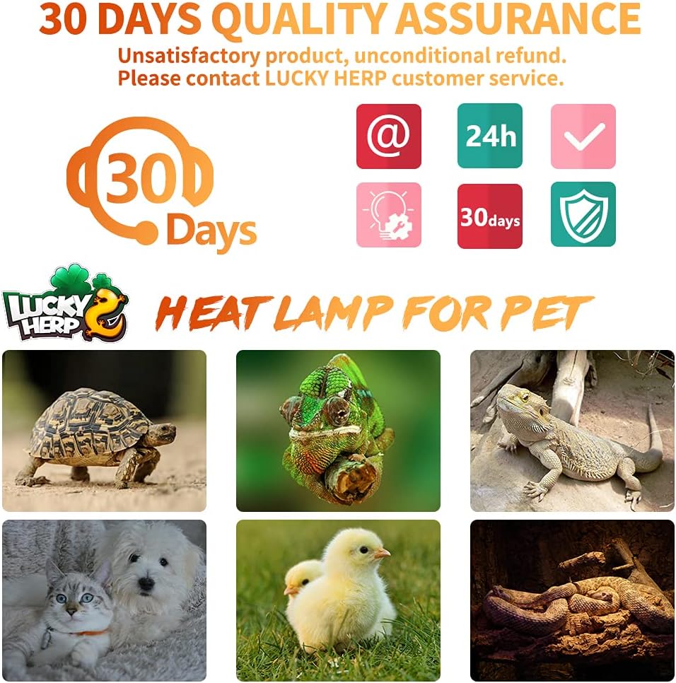 LUCKY HERP 100W Ceramic Heat Emitter. Reptile Heat Bulbs. Ceramic Heat Lamp for Reptiles. Amphibian. Chicken. Dog. Cat (2-Pack)