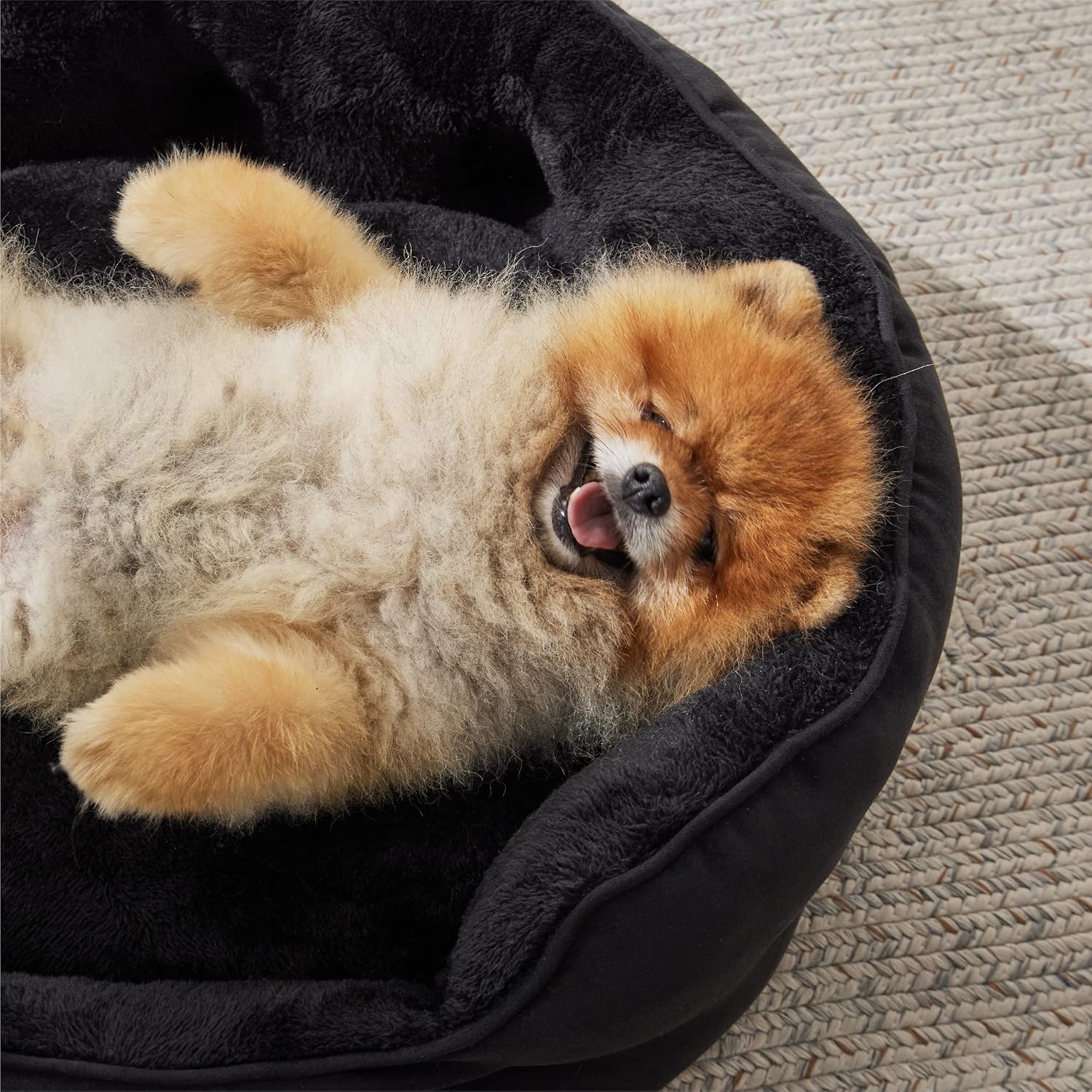 Bedsure Small Dog Bed Washable.Round Cat Beds for Indoor Cats.20in Black | Soft Plush Pet Bed.Dog Beds for Small Dogs for Puppy and Kittens.Anti-Slip Bottom.Easy to Clean
