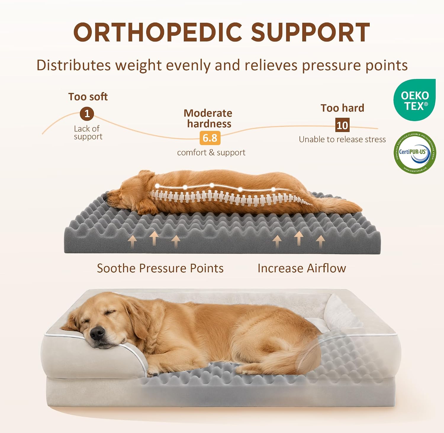 Comfort Expression Waterproof Orthopedic Dog Bed for Medium Size Dog | Supportive Egg Crate Foam Medium Pet Bed with Removable Bolsters. Dog Couch with Washable Cover & Non-Slip Bottom. 30x20 Inch