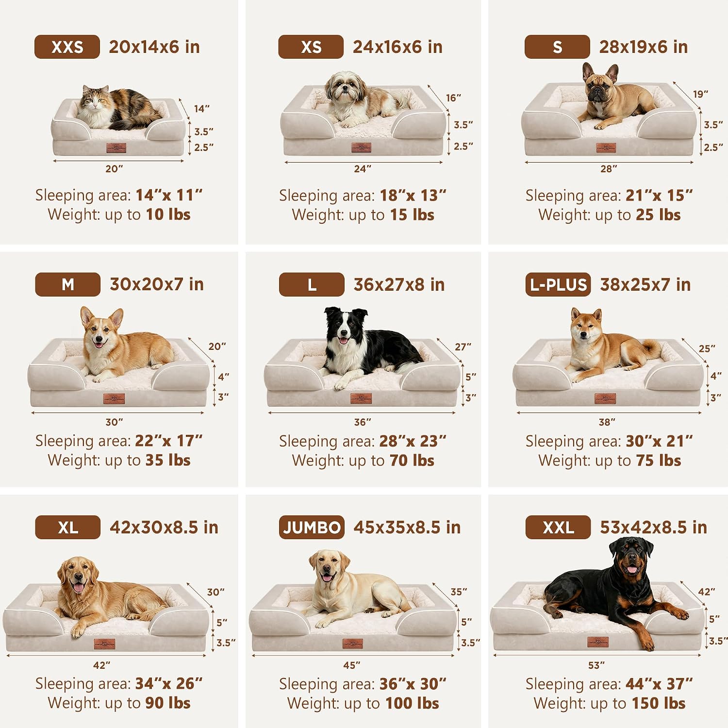 Comfort Expression Waterproof Orthopedic Dog Bed for Medium Size Dog | Supportive Egg Crate Foam Medium Pet Bed with Removable Bolsters. Dog Couch with Washable Cover & Non-Slip Bottom. 30x20 Inch