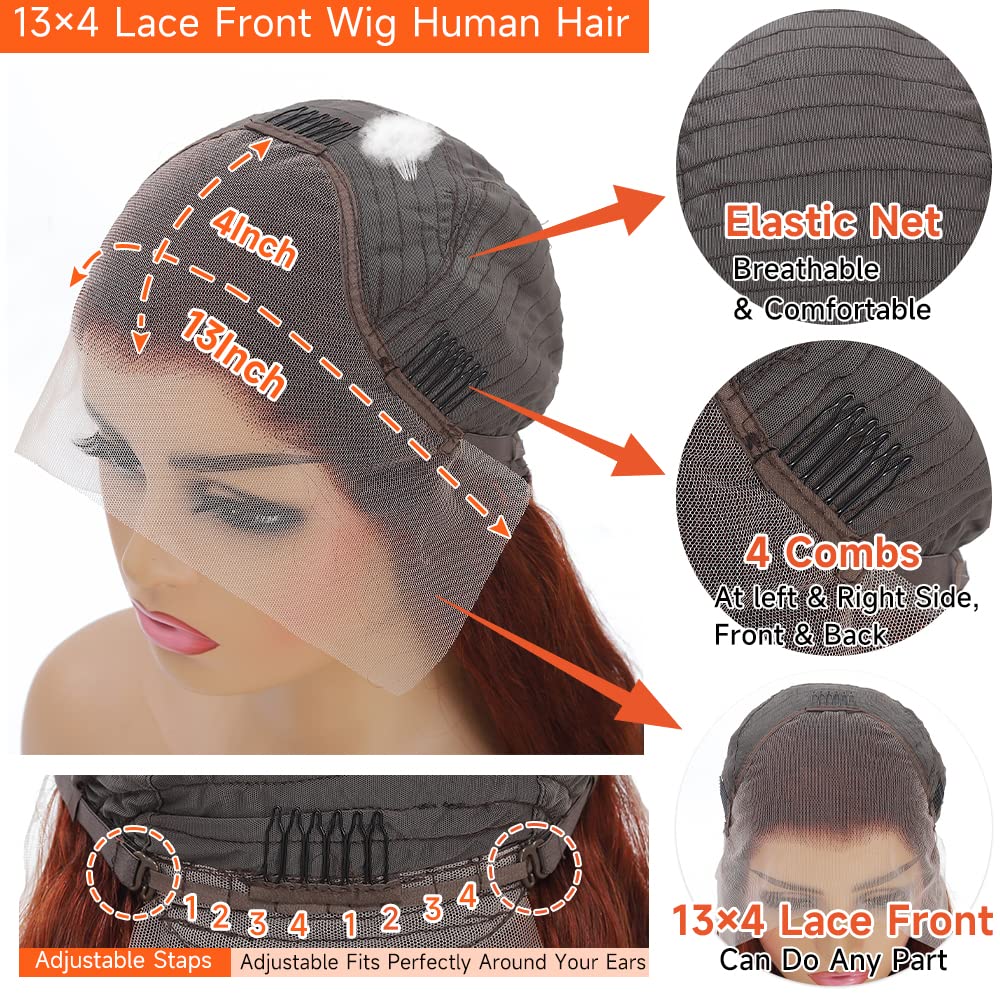 Avolo Reddish Brown Wig Human Hair 30 Inch Lace Front Wigs Human Hair Pre Plucked 13x4 Body Wave Frontal Wigs Human Hair Auburn Colored Human Hair Lace Front Wigs HD Lace Frontal Human Hair Wigs