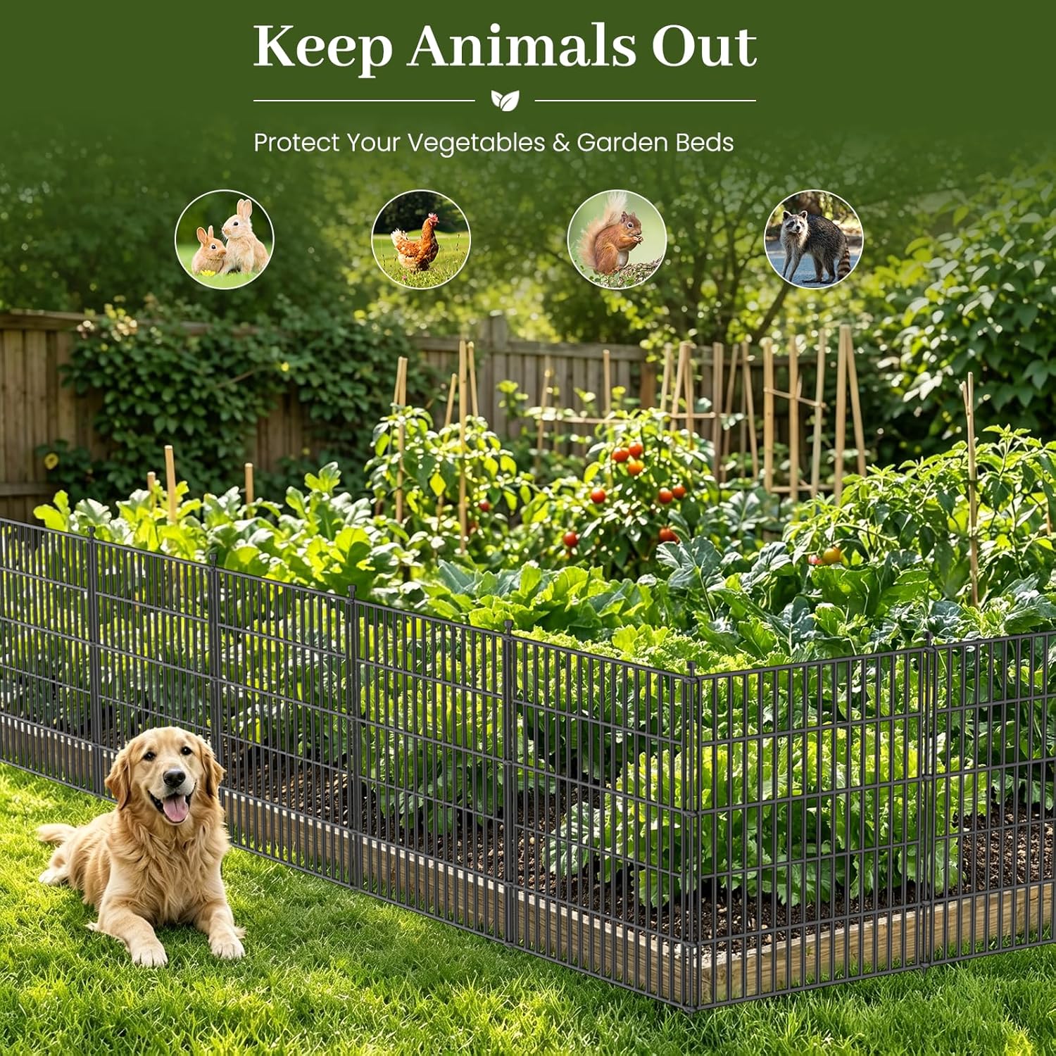 No Dig Garden Fence Outdoor for Yard. 48in (H) x 11.8ft(L) | 5 Panels Animal Barrier Fence. Rustproof Metal Temporary Dog Fence. Decorative Fencing for Patio. Flower Bed
