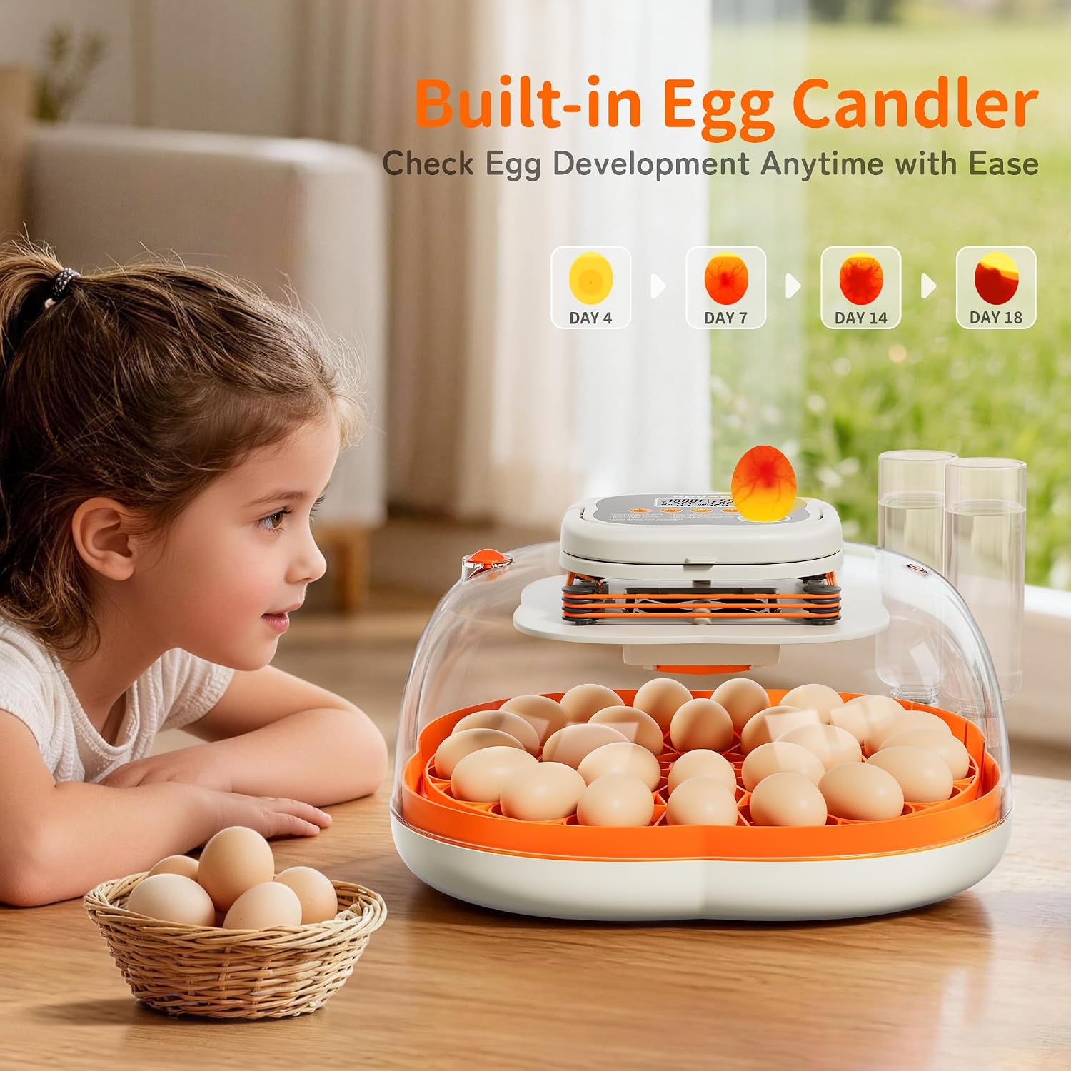 APDOE Egg Incubators for Hatching Eggs. Temperature and Humidity Control. Automatic Egg Turning. Egg Candler. External Water Bottle. Air Vent. for Chicken. Duck & Quail Eggs. 25 Eggs
