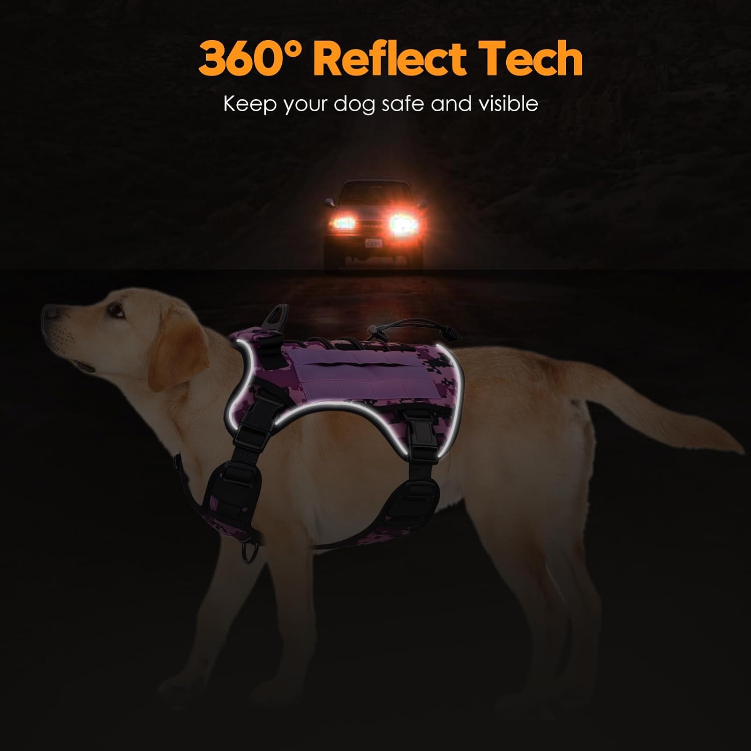 Heavy-Duty Tactical Dog Harness for Large Dogs. No Pull Adjustable Reflective Pet Vest with Molle System. K9 Military-Grade Control for Service Training. Outdoor & 10+ Breeds. Purple Camo. X-Large