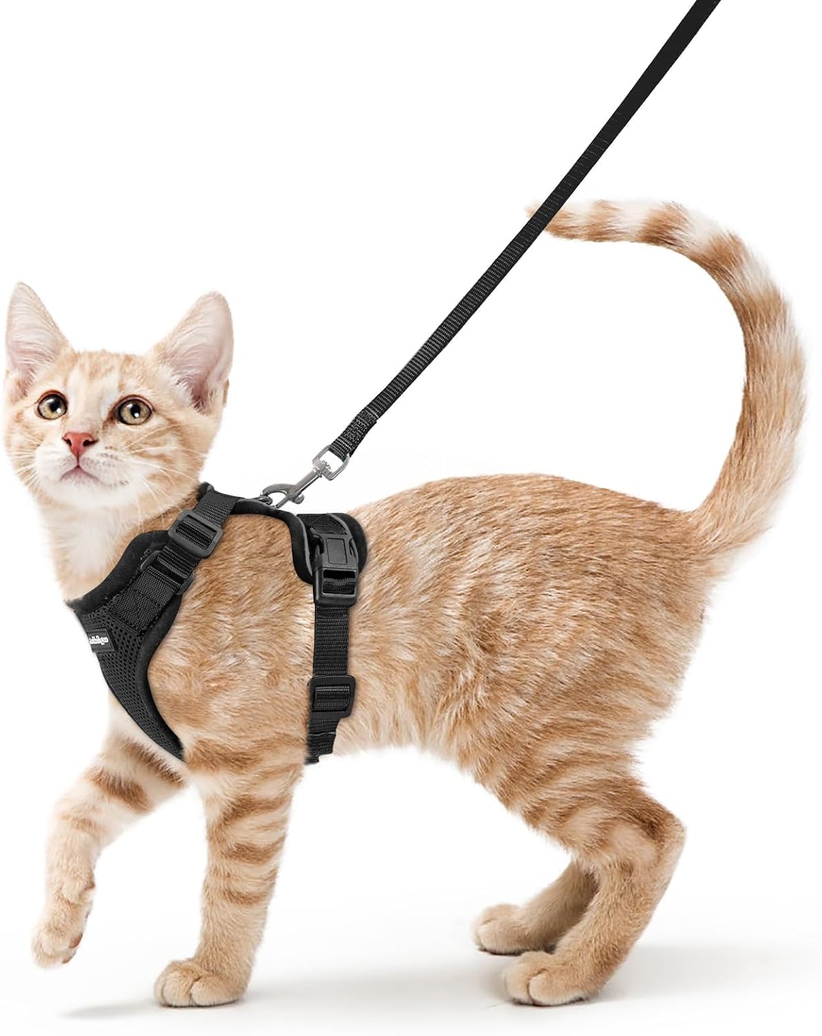 rabbitgoo Cat Harness and Leash Set. Escape Proof Vest. Black | Soft Breathable Mesh. Easy Adjustable Fit. Snap Buckles. Sturdy Clip. Reflective Strips. for Small & Average Cats Walks. Xs