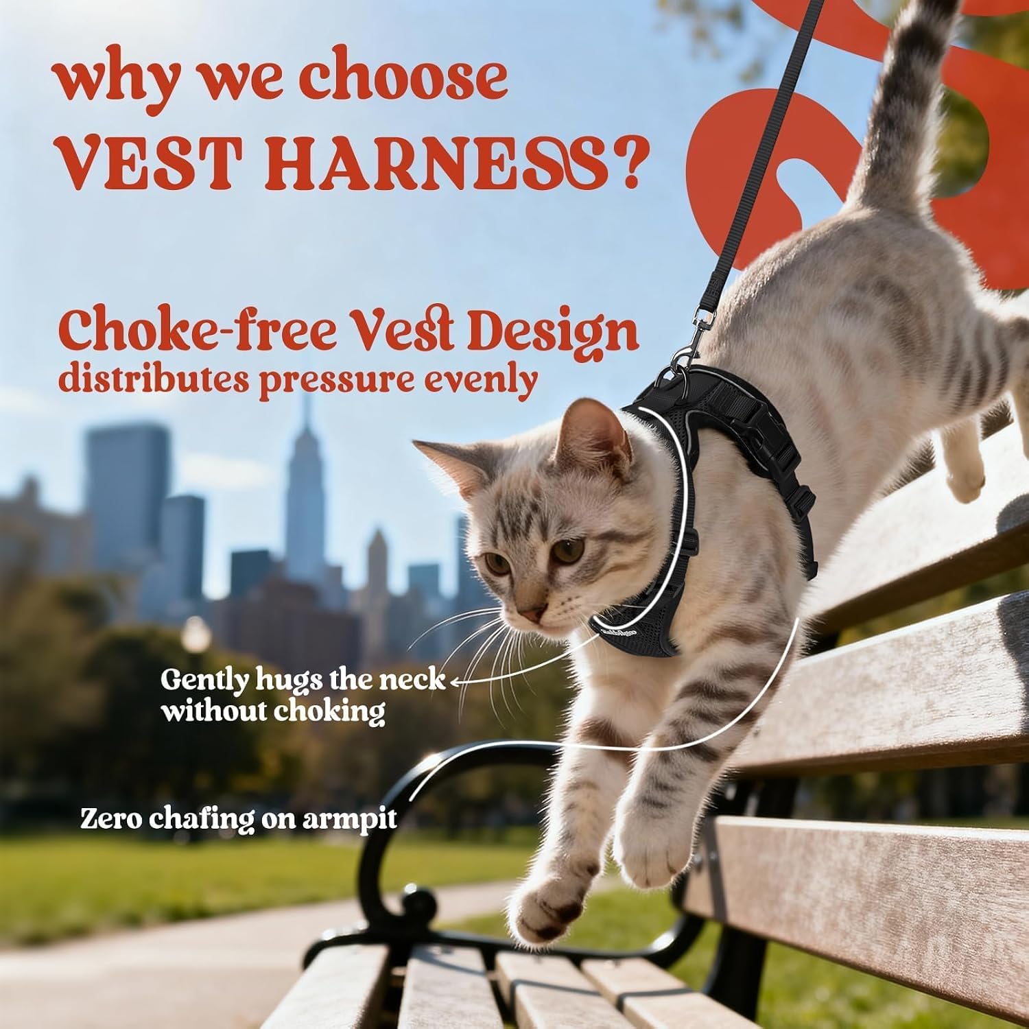 rabbitgoo Cat Harness and Leash Set. Escape Proof Vest. Black | Soft Breathable Mesh. Easy Adjustable Fit. Snap Buckles. Sturdy Clip. Reflective Strips. for Small & Average Cats Walks. Xs
