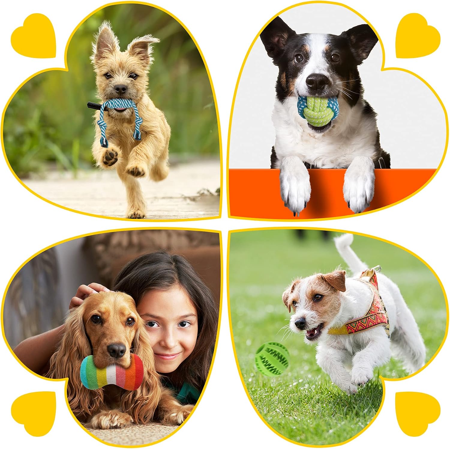 Zeaxuie 25 Pack Luxury Dog Chew Toys for Puppy. Dog Toys with Ropes. Treat Ball and Squeaky Puppy Toys for Teething Small Dogs