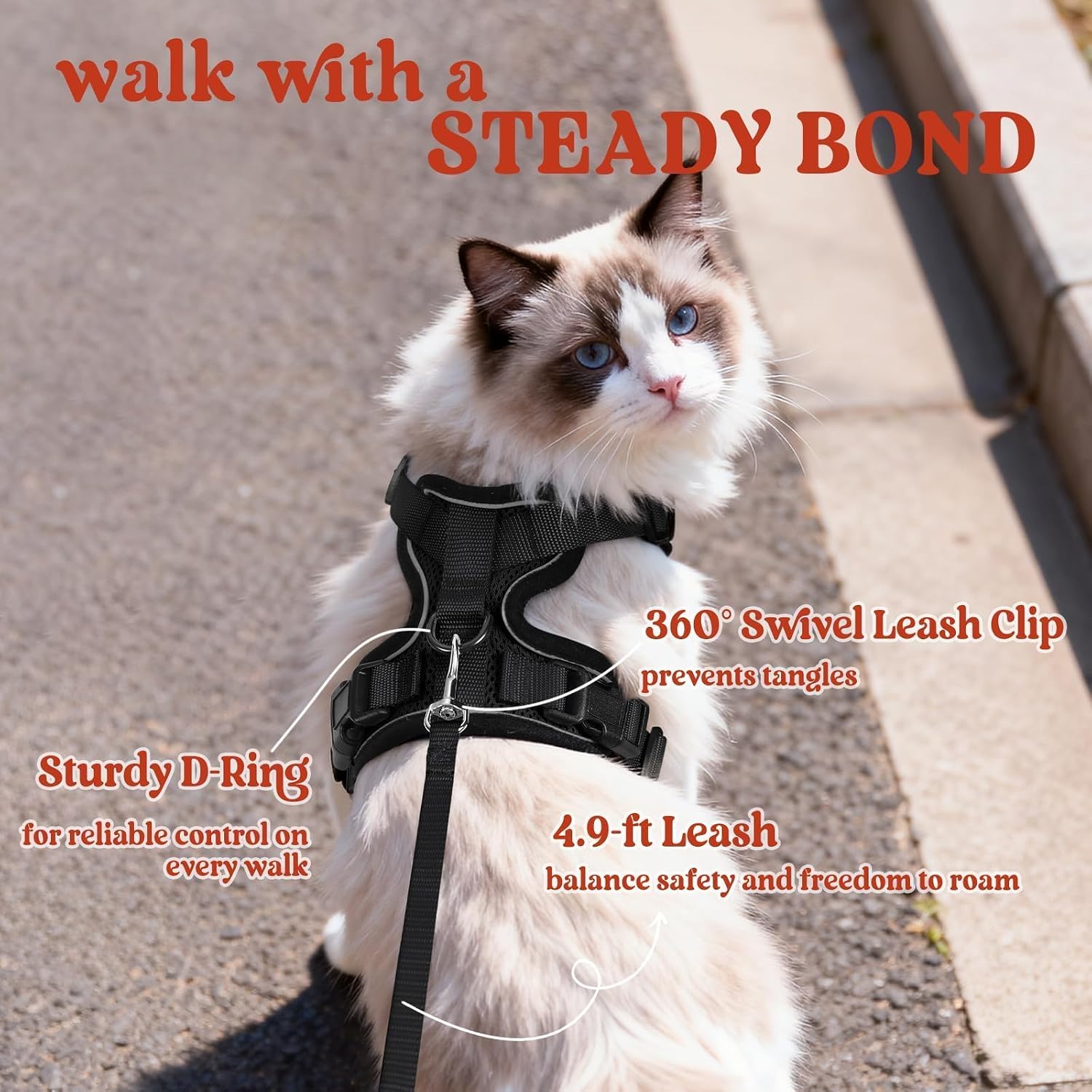 rabbitgoo Cat Harness and Leash Set. Escape Proof Vest. Black | Soft Breathable Mesh. Easy Adjustable Fit. Snap Buckles. Sturdy Clip. Reflective Strips. for Small & Average Cats Walks. Xs