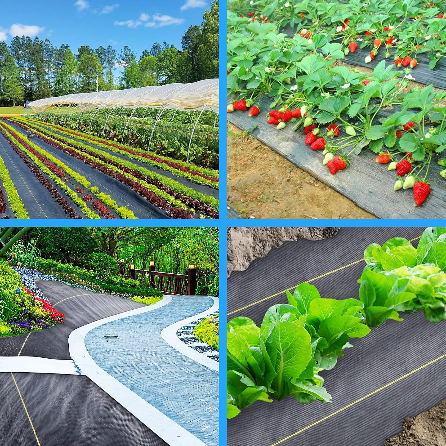 Sunocity 8ft x300ft Black Weed Barrier 3.5oz Landscape Premium Fabric-Heavy Duty Woven Ground Cloth with Superior Permeability Weed Control Convenient Design