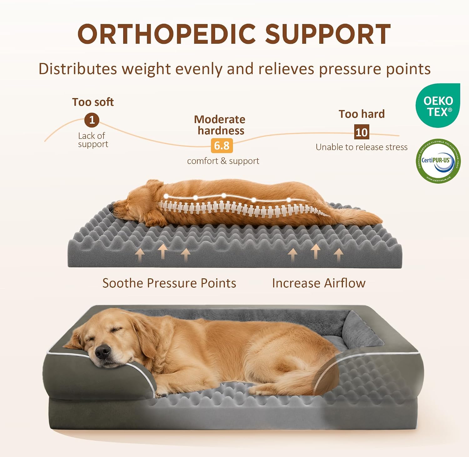 Comfort Expression Waterproof Orthopedic Dog Bed for Medium Size Dog | Supportive Egg Crate Foam Medium Pet Bed with Removable Bolsters. Dog Couch with Washable Cover & Non-Slip Bottom. 30x20 Inch