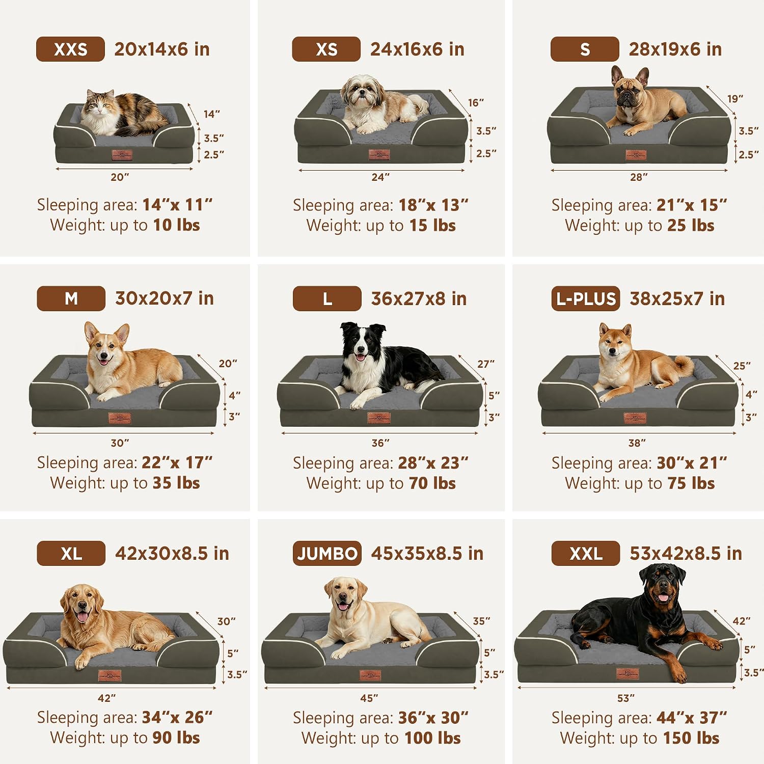 Comfort Expression Waterproof Orthopedic Dog Bed for Medium Size Dog | Supportive Egg Crate Foam Medium Pet Bed with Removable Bolsters. Dog Couch with Washable Cover & Non-Slip Bottom. 30x20 Inch